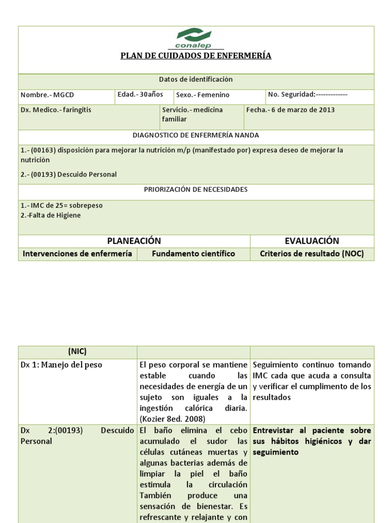Plan de Cuidados de Enfermeria 3 | PDF