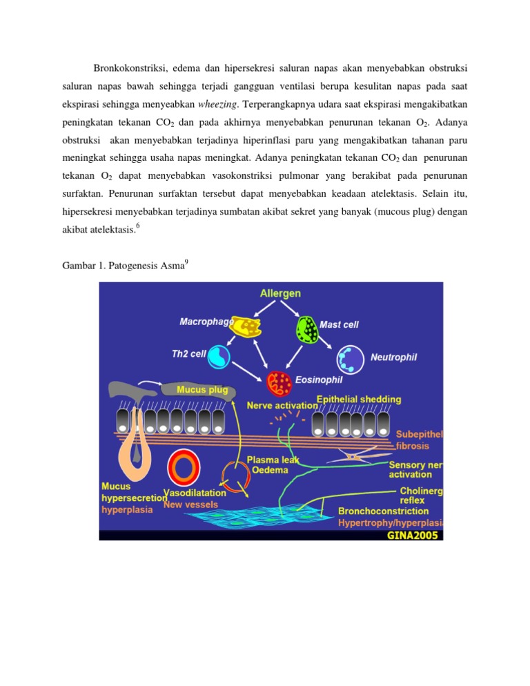 Patogenesis Bronkokonstriksi dan Asma | PDF