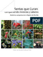 Plantas Que Curan