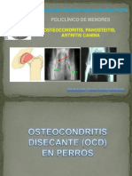 Enfermedades de Artritis, Panosteitis y Osteocondritis