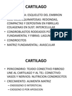 Histologia - Cartilago Clase 7
