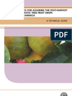 Exotic Fruit Book Web