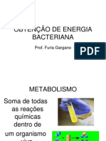 3_obtenção_energia_bacteriana