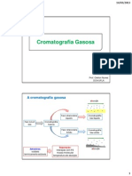 06 Cromatografia Gasosa