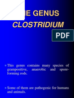 The GENUS Clostridium