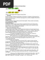 Download Blok Diagram Atau Konfigurasi Stasiun Bumi by rhy_scribd SN153566582 doc pdf