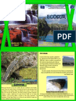 Revista ECOSUR PDF