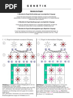 Biologie Genetik Lernzettel