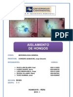 Informe de Aislamiento de Hongos 