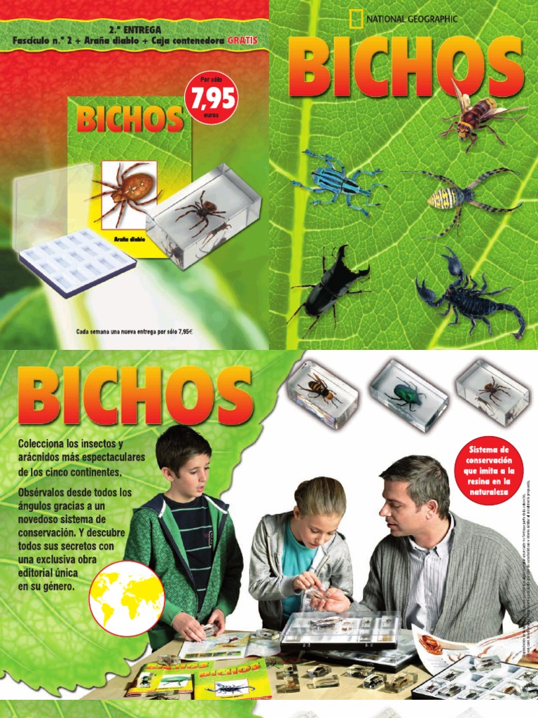 Bichos Catalogo RBA | PDF