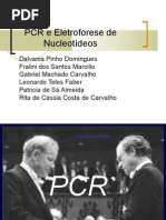 Reação em cadeia da polimerase (PCR)