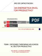 Opciones Tarifarias en El Sector Productivo