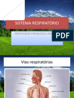 Sistema Respiratório