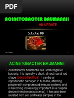 Acinetobacter baumannii infections update