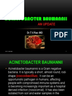 Acinetobacter Baumannii Infections Update