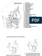 Puntos Cefalometricos