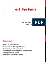 Aswini Expert Systems