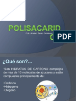 Presentacion Polisacaridos DXN