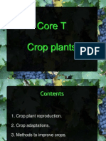 Core T - Crop Plants
