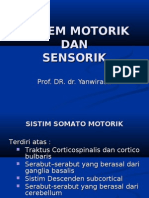 4 Sistem Somato Motorik