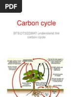 BTEOTSSSBAT Understand The Carbon Cycle