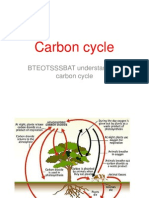 BTEOTSSSBAT Understand The Carbon Cycle