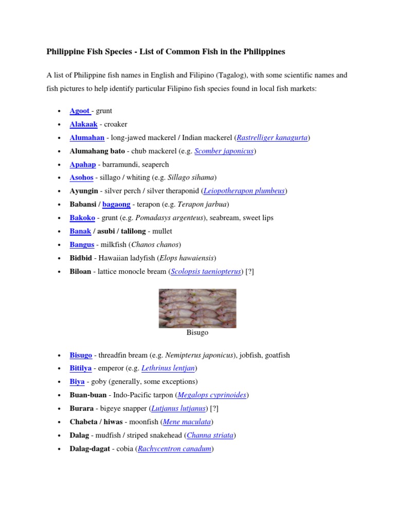 Philippine Fish Species | PDF | Aquaculture | Seafood