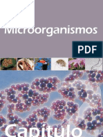 Diversidade Microbiana