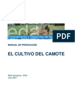 Manual Producc Camote (EDA)