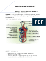 Curs Cardiologie