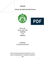 39509670-Preskas-Ulkus-Kornea