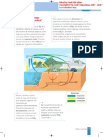 MAQUETA CICLOS DEL CARBONO Y OXIGENO - Página 59
