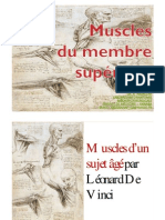 _Dr_ ABDALLAH- Muscles Du Membre Superieur_ 1 Annee Medecine