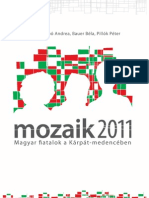 MOZAIK2011 – Magyar ﬁatalok a Kárpát-medencében