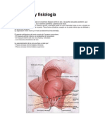 Anatomía y Fisiología