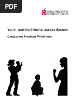 Youth and The Criminal Justice System