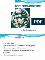 Clase 4 MB Procariontes Bacterias 2013 I
