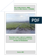 Relatório Sobre o Impacto Ambiental Causado Pelo Derramamento de Óleo Na Baía de Guanabara