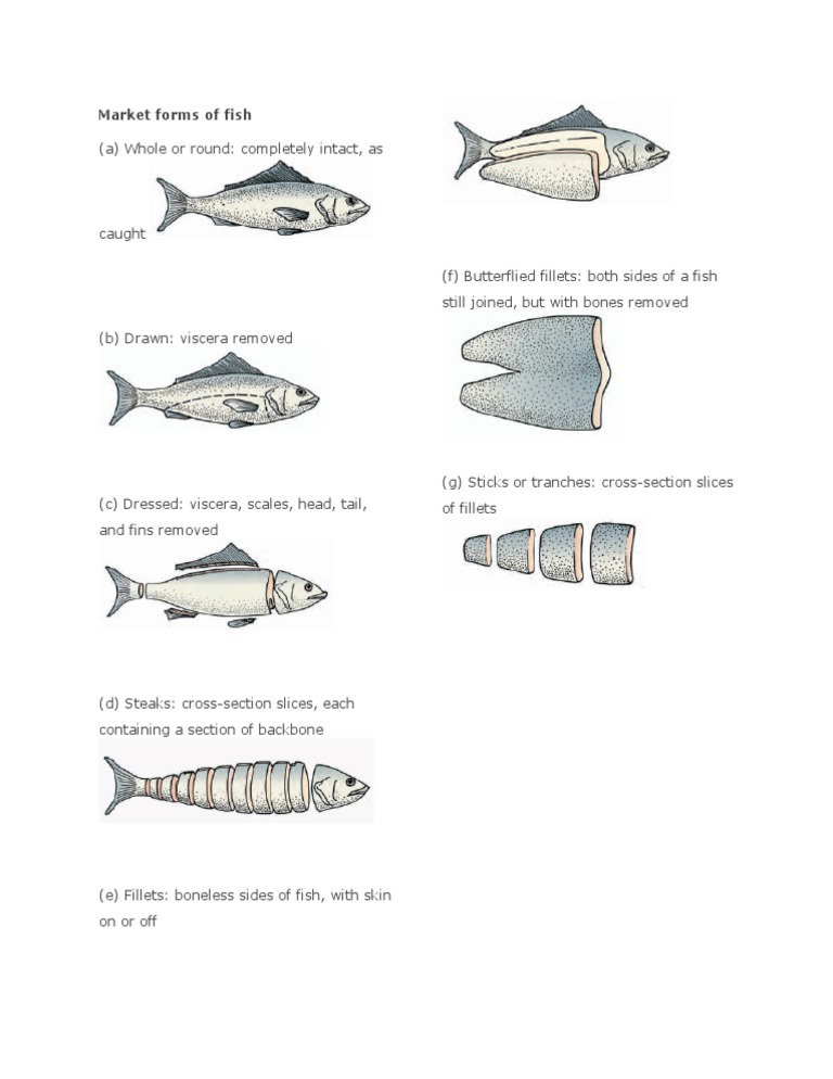 Market Forms of Fish Explained | PDF | Fish And Humans | Fish