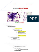 Clasificación Bacteriana