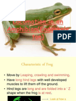 Locomotion in An Amphibian