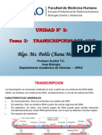 Transcripción