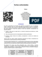 Rochas carbonatadas: formação, ambientes e técnicas de estudo