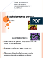 Kamila Dias Staphylococcus