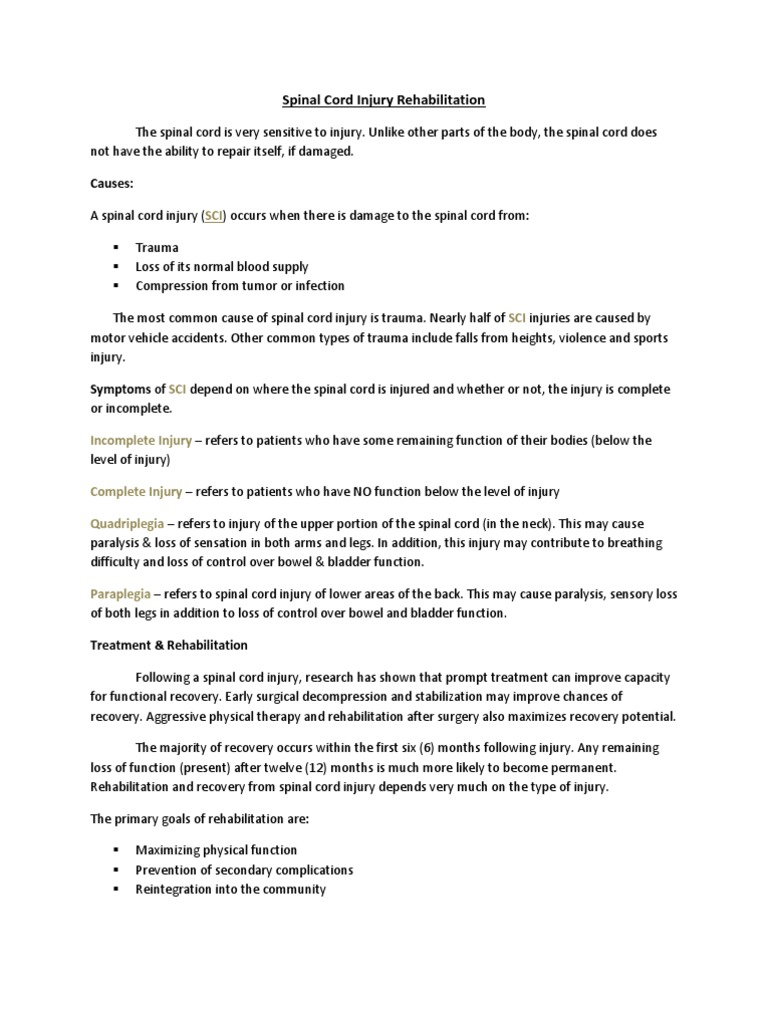 Spinal Cord Injury Rehabilitation | PDF