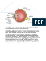 Fundus Fotografi