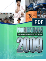 profil_kesehatan_sulawesi_selatan_2009.pdf