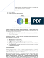 Analisis_de_la_Biomasa_en_Paraguay_Judith_Douglas.docx
