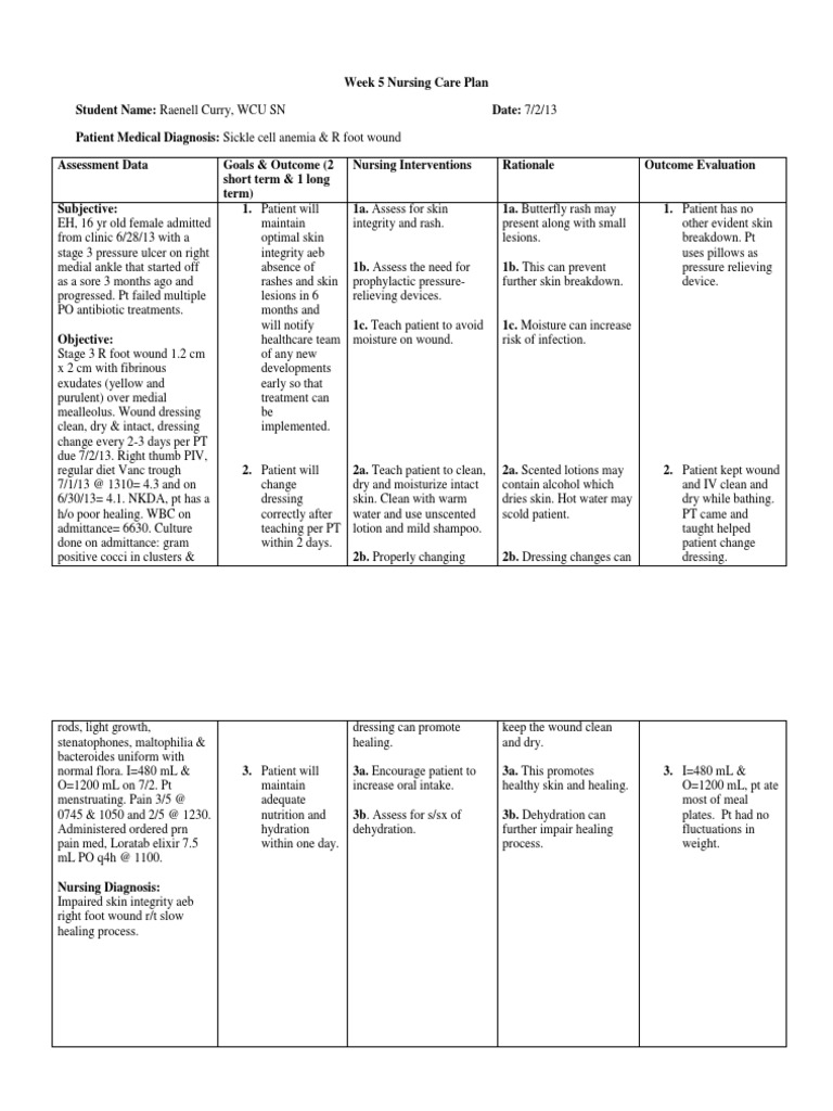 week-5-careplan-wound-patient