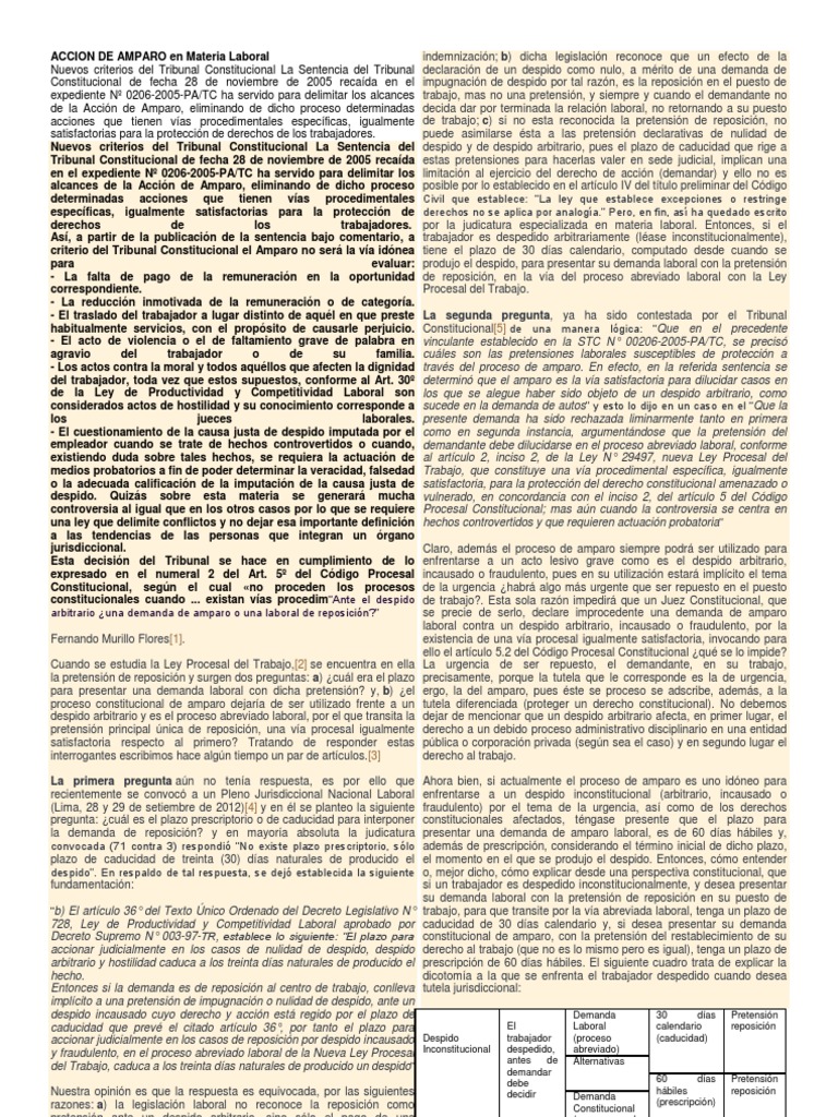 Accion de Amparo en Materia Laboral | PDF | Demanda judicial | Ley procesal
